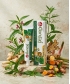 Les plantes du dentifrice Andrographis Herbal